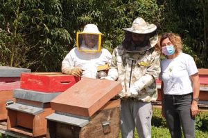 Wood You BeeLive: il legno e le api per riniziare a vivere
